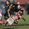 Rugby, successi per Viadana a Vicenza e Caimani con Patavium