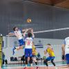 Grande sfida per Mantova: al PalaSguaitzer Belluno Volley