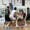 SPECIALE - Basket, per gli Stings insidiosa trasferta a Gorizia