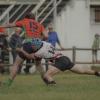 Rugby, Mantova in trasferta sul campo del Calvisano