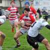 Rugby Mantova: a Calvisano l'ultimo atto della stagione
