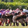 Rugby, Mantova chiude col sorriso: Parabiago ko 39-29