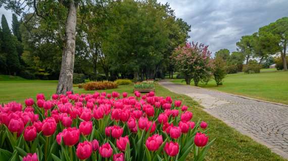Parco Sigurtà, tutti da ammirare i 10mila tulipani appena sbocciati