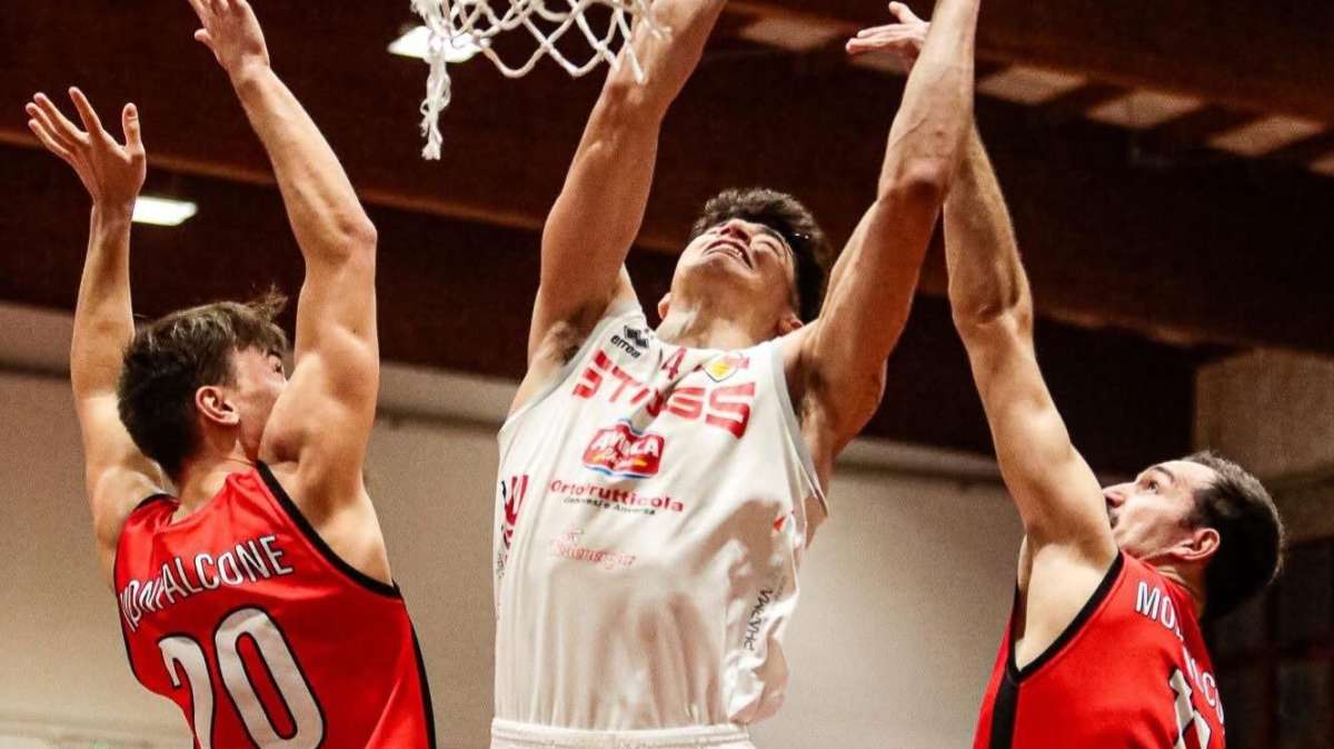 Stings, si torna sul parquet di Curtatone: obiettivo vincere! 