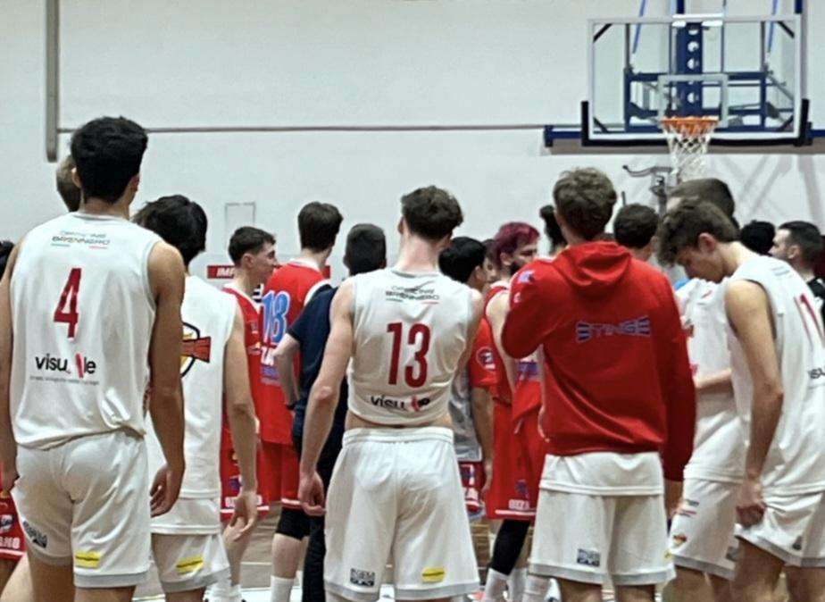 Stings, battaglia all'Arena con Ozzano: vittoria degli ospiti