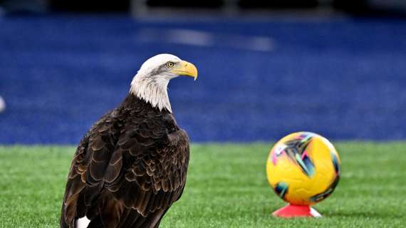 E l’ex aquila della Lazio, domenica volerà in Brianza 