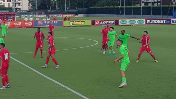Vittoria per il Monza: la rete è quella di Keita Baldè