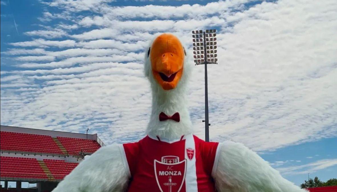 Il Pesce d'Aprile del Monza: "Ecco Lake, il cigno nostra nuova mascotte"