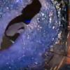 Immagine news Notizie n.1