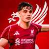Immagine news Champions League n.1