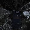 Immagine news Notizie n.3