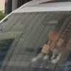 Immagine news Notizie n.3