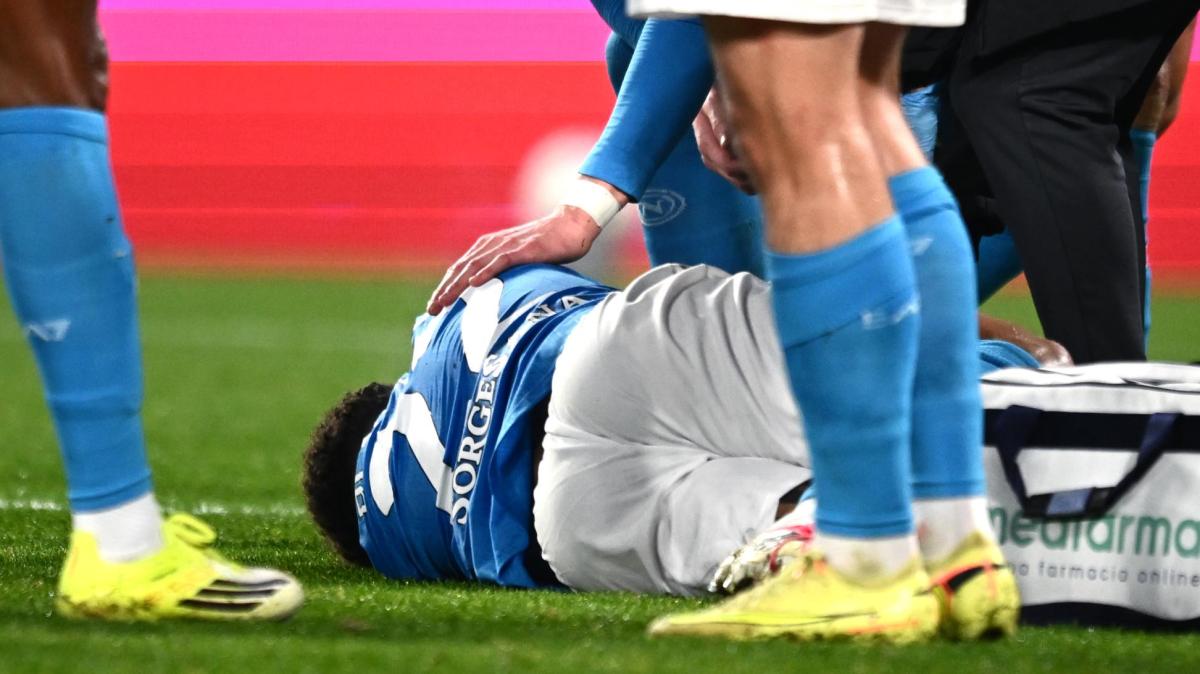 Immagine strip In primo piano n.1