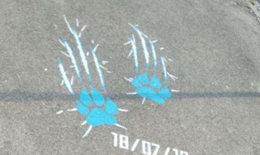 FOTO - Kappa lancia indizi sulla nuova maglia: città tappezzata di impronte di Pantera, spunta la data di presentazione