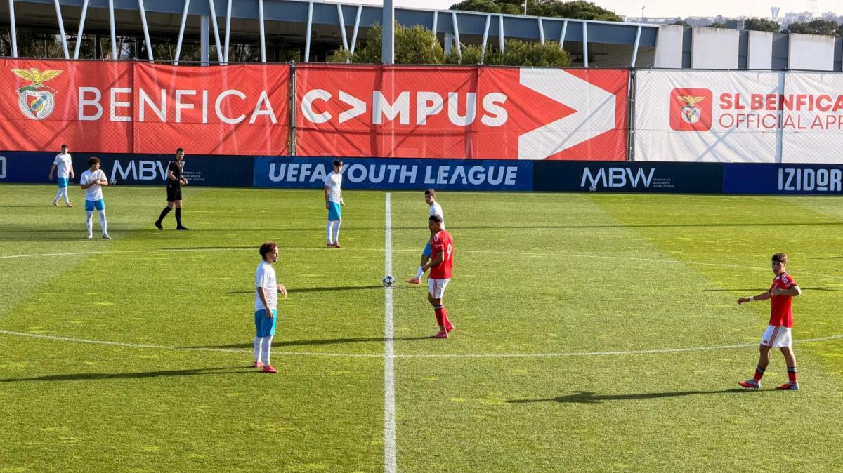 Immagine strip In primo piano n.1