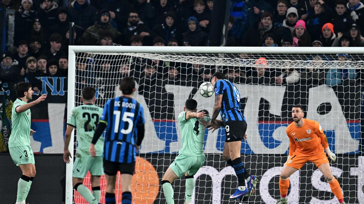 Vergogna a Bergamo: sradicata la quercia Guernica donata all'Atalanta dall'Athletic