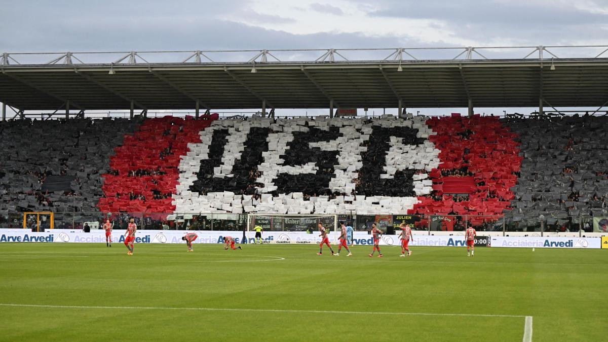 Immagine strip In primo piano n.1