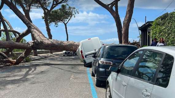 Posillipo, sfiorata tragedia: albero crolla su un auto, nessun ferito 