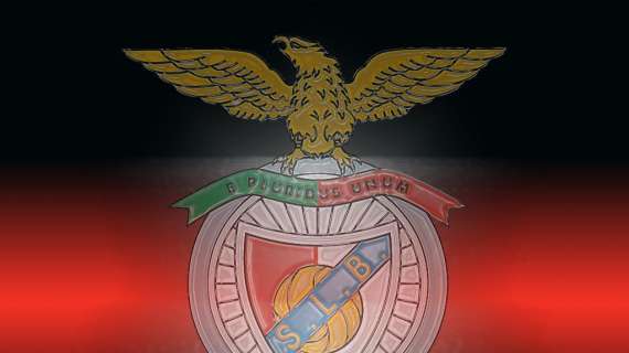 Alla scoperta del Benfica