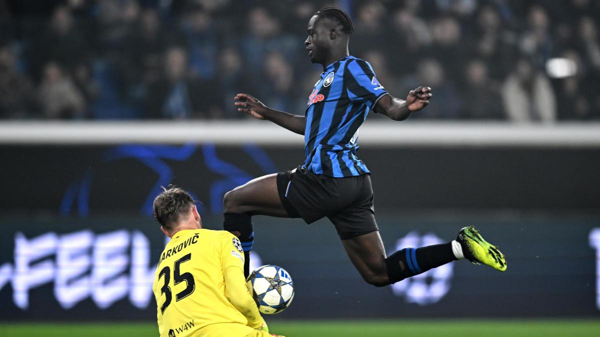 Immagine strip In primo piano n.2