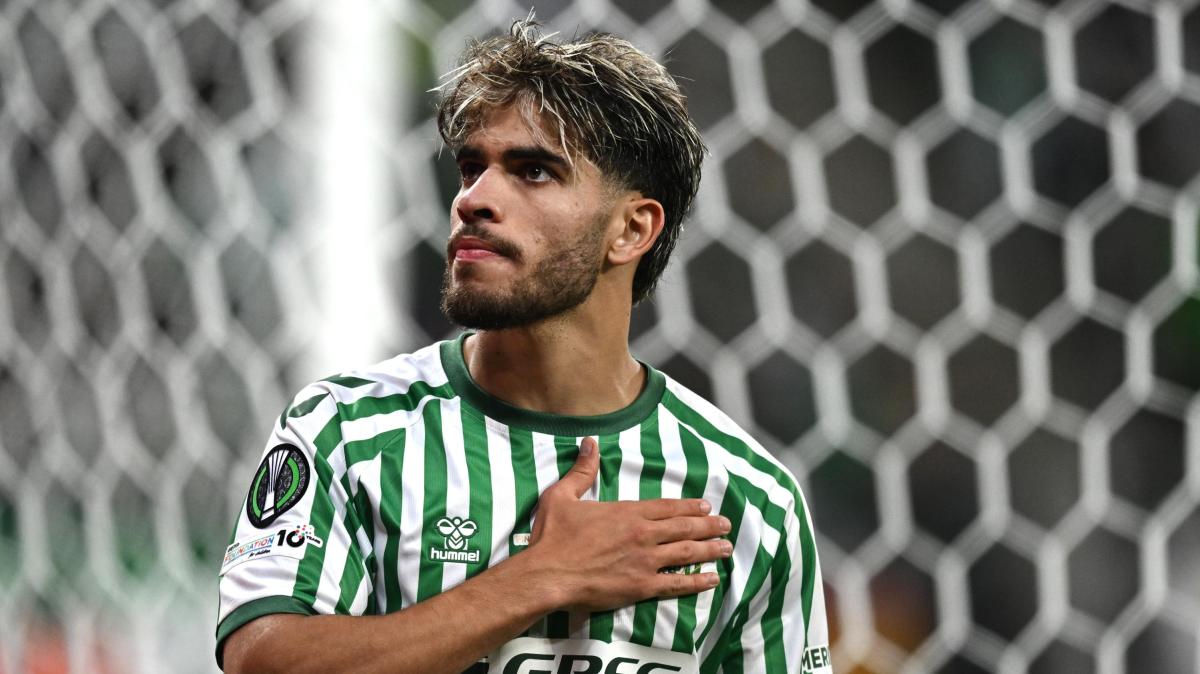 Immagine strip In primo piano n.1