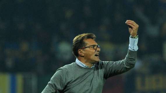 Novellino punta su Raspadori: "È l'erede perfetto di Mertens"