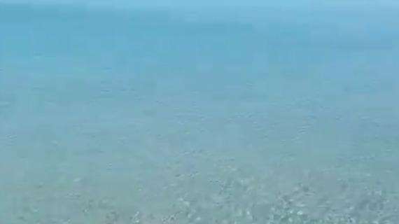 VIDEO - 'Senza' l'uomo, le acque del litorale domitio sono incredibilmente cristalline
