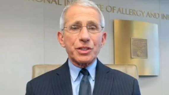 Coronavirus, il virologo Usa Fauci: "Possibile vaccino entro gennaio"