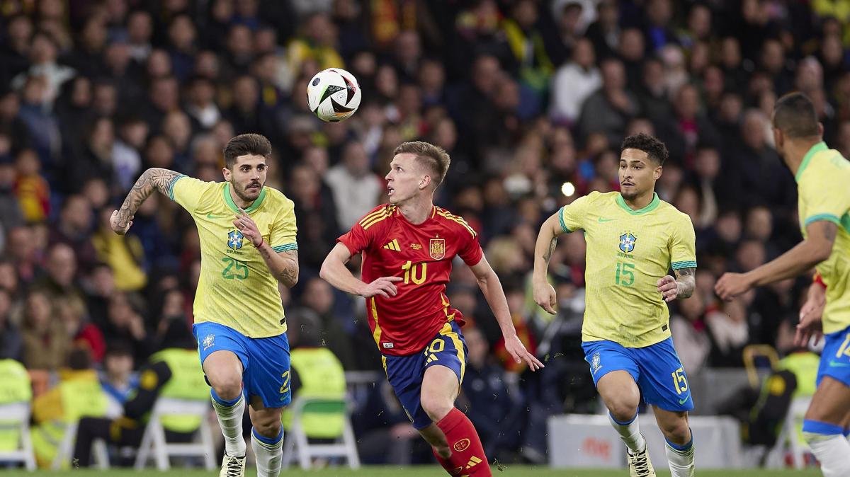 Nome nuovo per l'estate, Sky: Napoli su Joao Gomes del Wolverhampton!