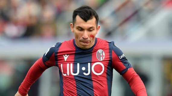 Bologna, Medel in dubbio per il Napoli: Mihajlovic ha già in testa l'alternativa