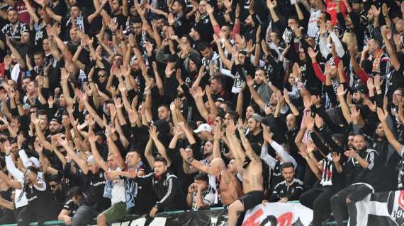 Napoli-Besiktas, record negativo di spettatori in Champions: i dati ufficiali sull'incasso