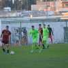 BITONTO-NOCERINA 1-0: decide un gol di Cardore