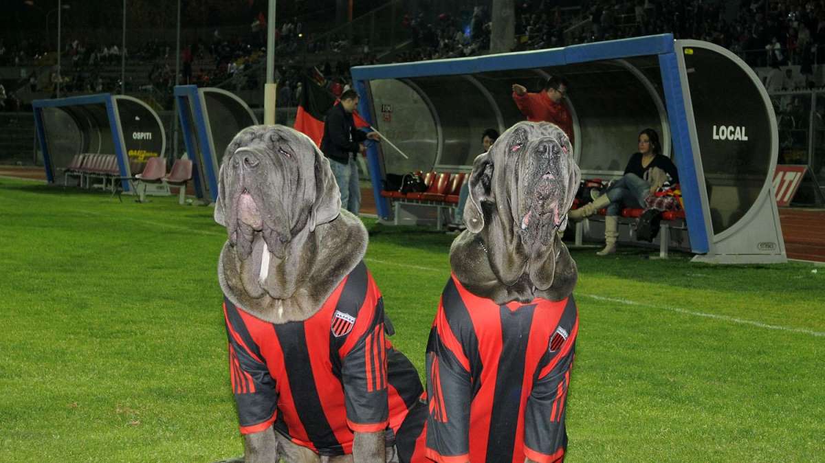 PUNTO SUL CAMPIONATO: la quarantaduesima giornata