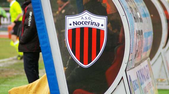 TNM - SCHEDA: Marco Maestripieri