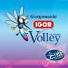 IGOR Volley Novara - Troppa Igor per Cuneo: undicesima vittoria consecutiva delle Azzurre