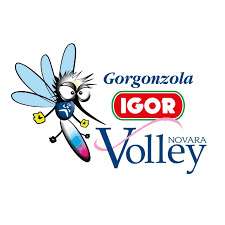 IGOR Volley Novara - Tutto pronto per il raduno: il 17 agosto via alla preparazione