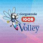 IGOR Volley Novara - Info, ritiro abbonamenti