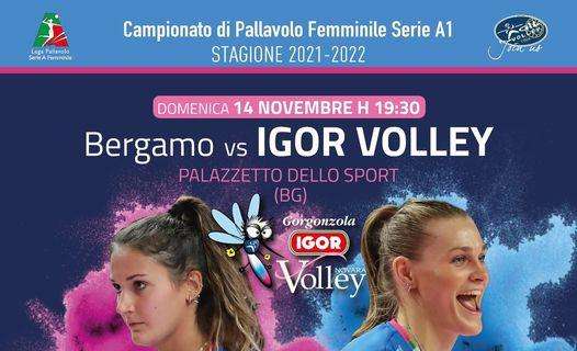 Video: Bergamo - Novara | Highlights | 7^ Giornata Campionato | Lega Volley Femminile 2021/22