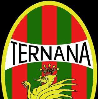 Ternana, nuovo ricorso al Collegio di Garanzia contro FIGC e Lega B