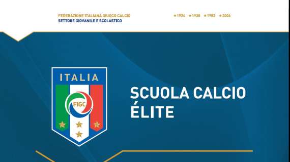 Giovanili - Il Novara è tra le Scuole Calcio Elite