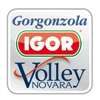 IGOR Volley - Settore giovanile, recap della settimana