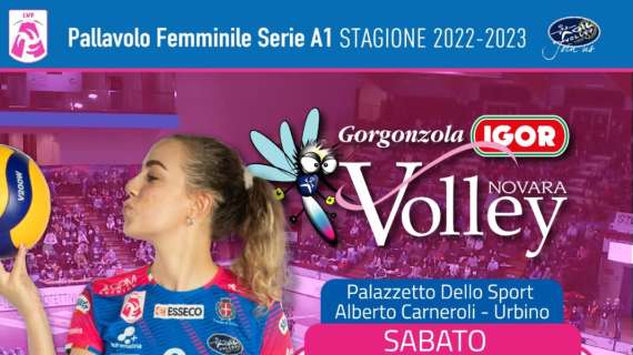 IGOR Volley Novara - Ultima trasferta di regular season: Azzurre in casa di Vallefoglia