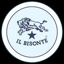 IGOR Volley Novara - Domenica in casa con Il Bisonte Firenze