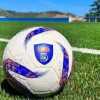 Serie D, Co Vi.So.D. verso il verdetto: in bilico tre formazioni, si spera nei ripescaggi