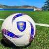 Ripescaggi in Serie D: cresce l’attesa per il 31 luglio, tra speranze e calcoli