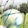 Classifica marcatori Serie D girone H: Croce e Fantacci subito in vetta