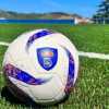 Barbiero punta al rinnovamento della Serie D: "Stabilità economica, play-off con accesso in Serie C e obbligo under"