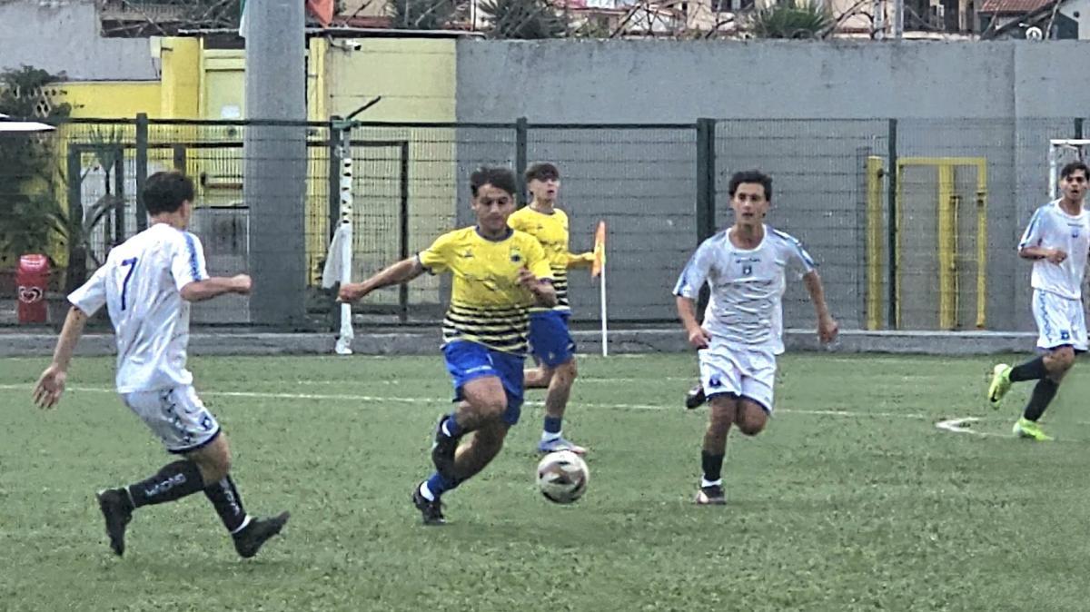 Giudice Sportivo Juniores