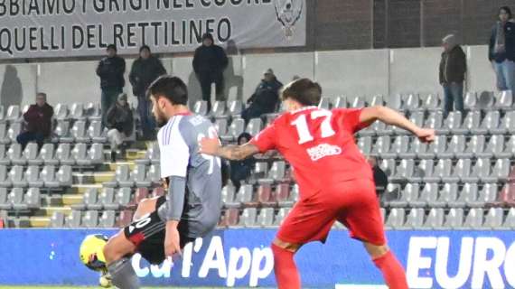 Michele Volpe, Sarnese