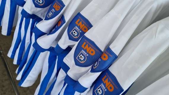 Coppa Disciplina Serie D